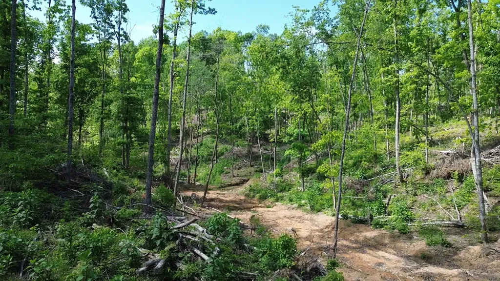 535 Highwater Road Waverly TN 37185