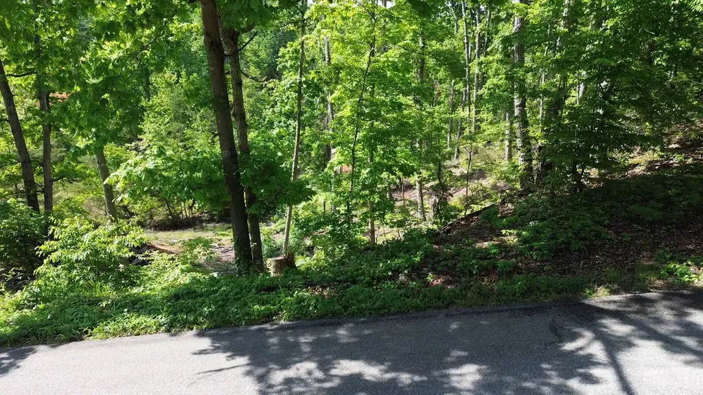 535 Highwater Road Waverly TN 37185