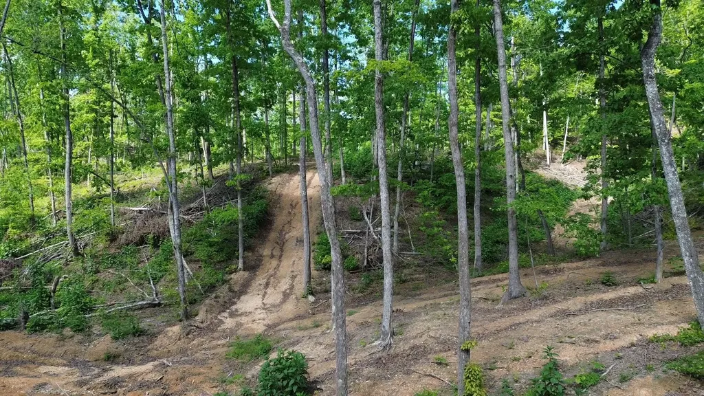 535 Highwater Road Waverly TN 37185