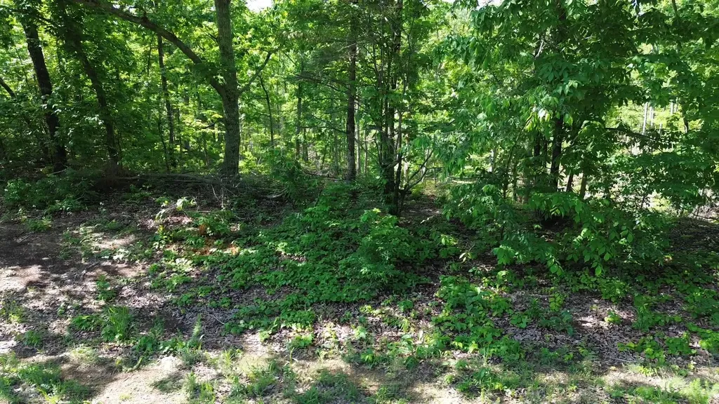 535 Highwater Road Waverly TN 37185