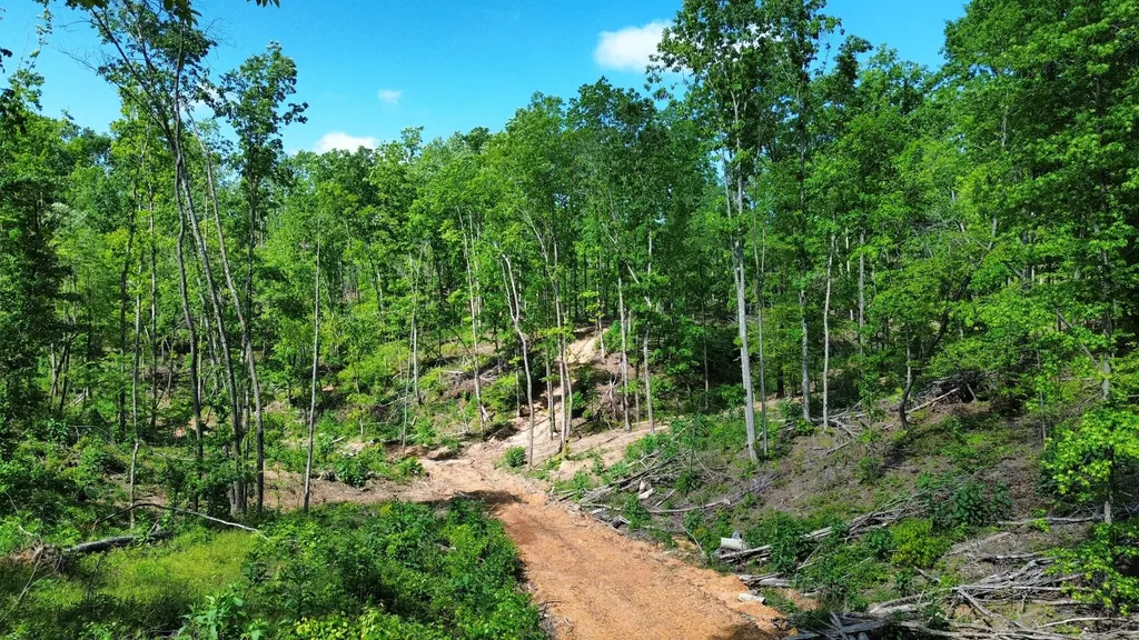 535 Highwater Road Waverly TN 37185