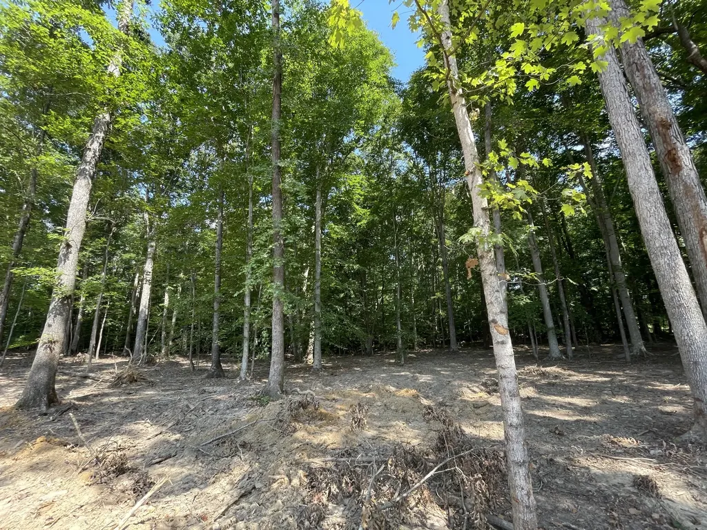 211 Beechwood Court, W Pegram TN 37143