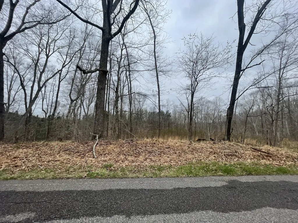 1 Forest Trail Bumpus Mills TN 37028