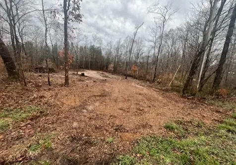 1 Forest Trail Bumpus Mills TN 37028