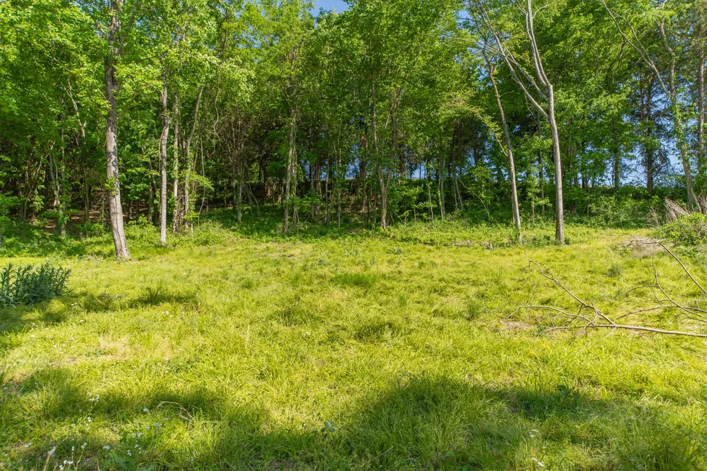 0 Globe Road Lewisburg TN 37091