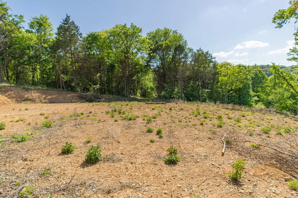 0 Globe Road Lewisburg TN 37091