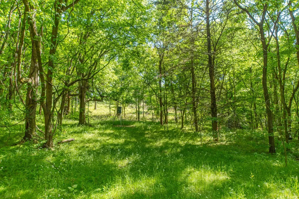 0 Globe Road Lewisburg TN 37091