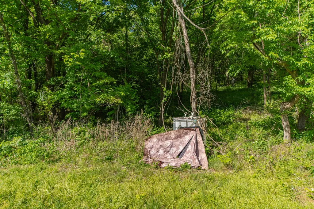 0 Globe Road Lewisburg TN 37091