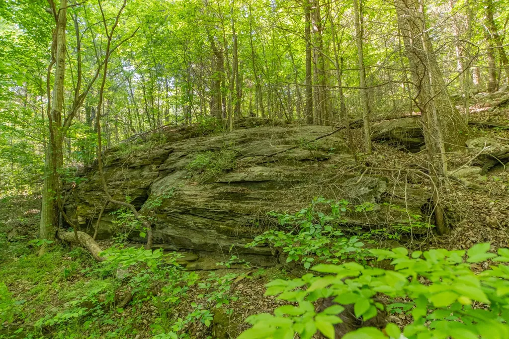 0 Globe Road Lewisburg TN 37091