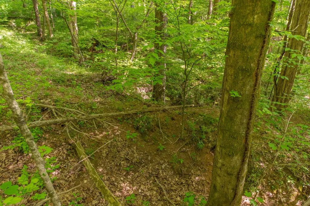 0 Globe Road Lewisburg TN 37091