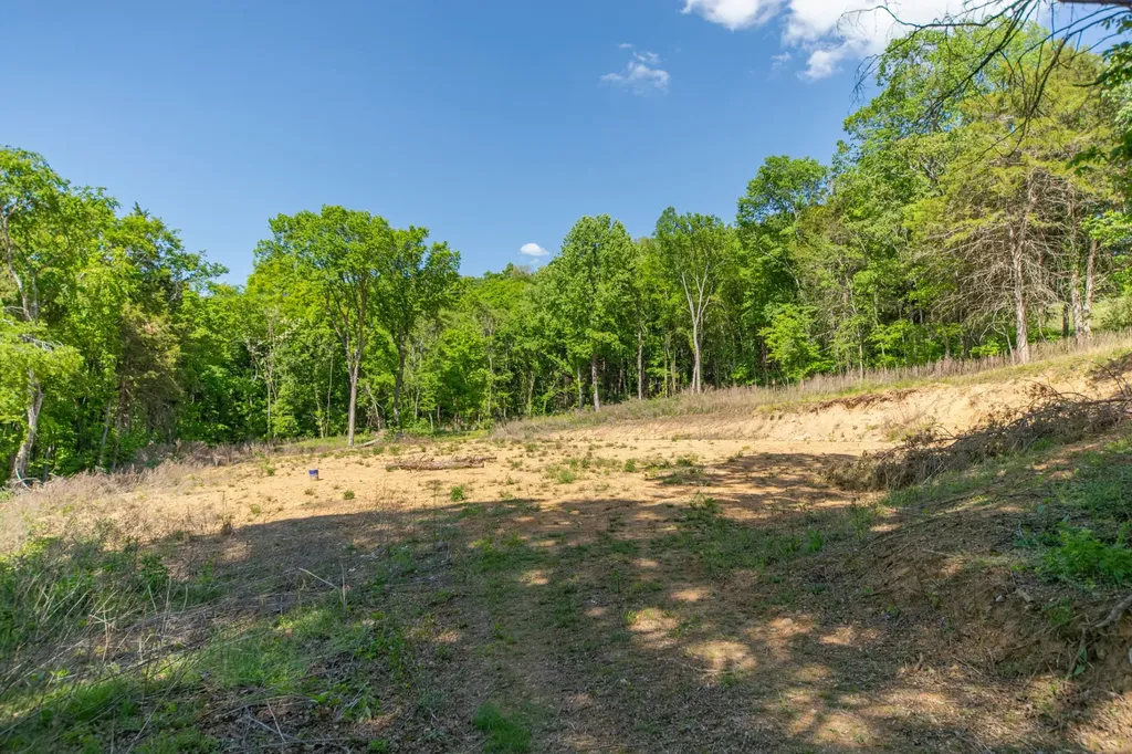 0 Globe Road Lewisburg TN 37091