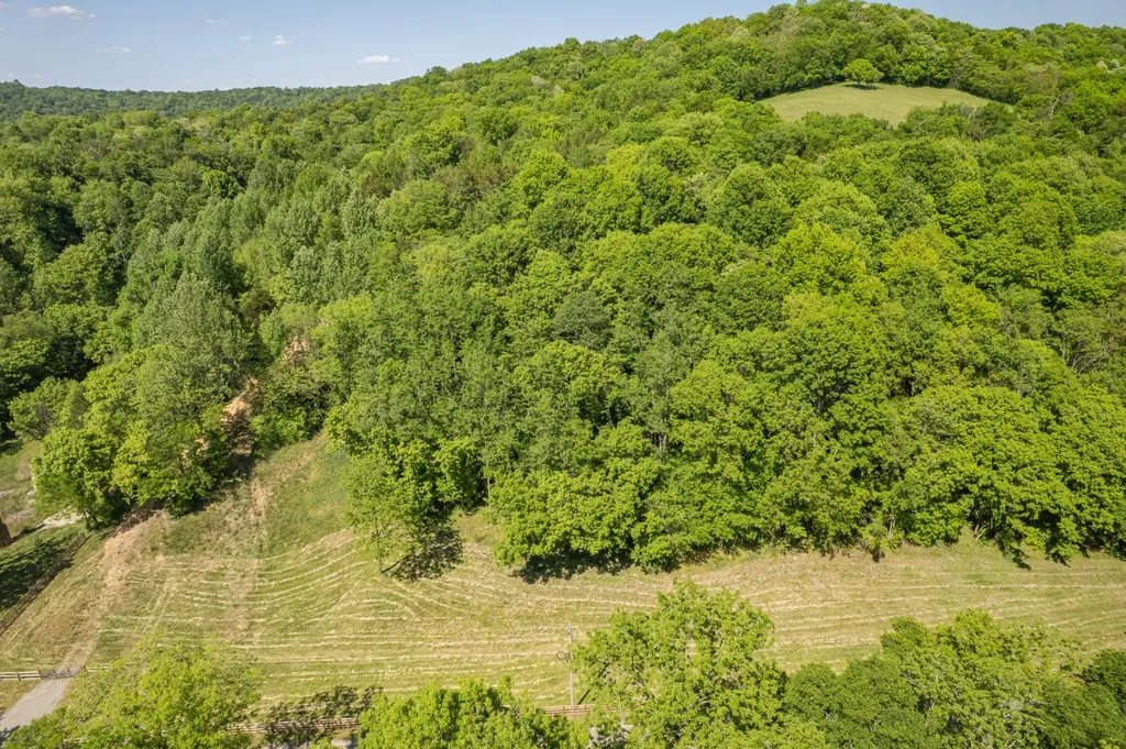 0 Globe Road Lewisburg TN 37091