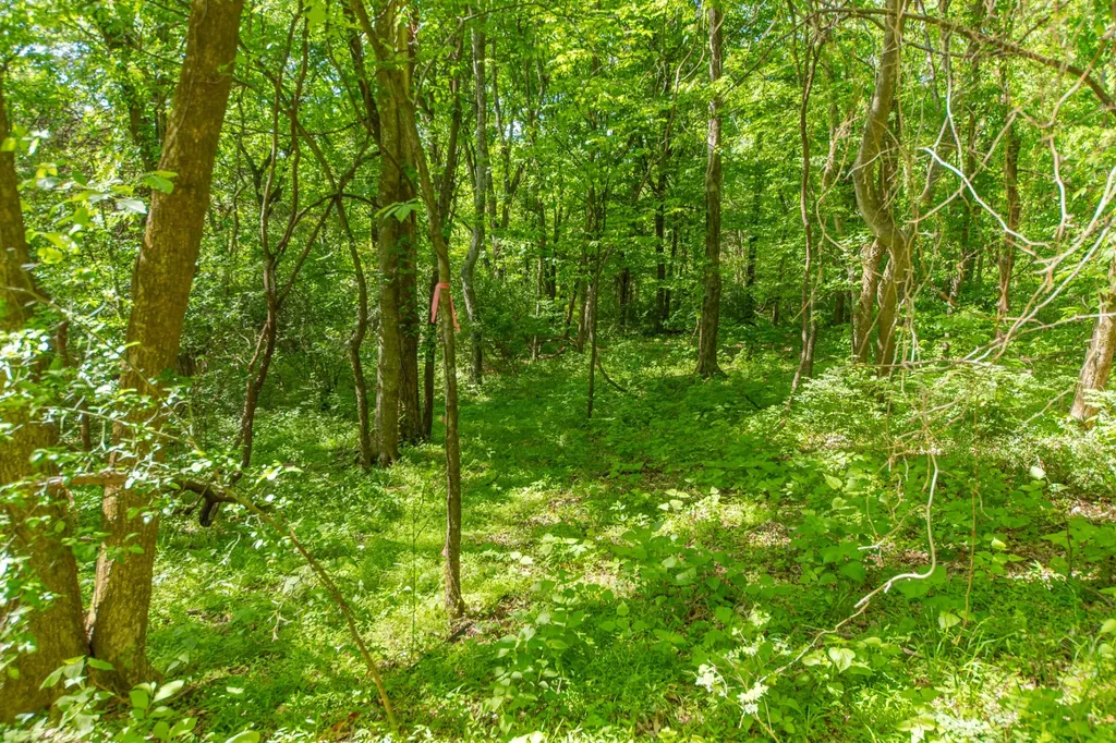 0 Globe Road Lewisburg TN 37091