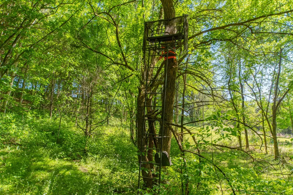 0 Globe Road Lewisburg TN 37091