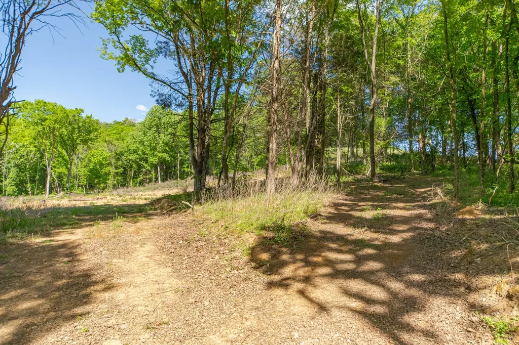 0 Globe Road Lewisburg TN 37091