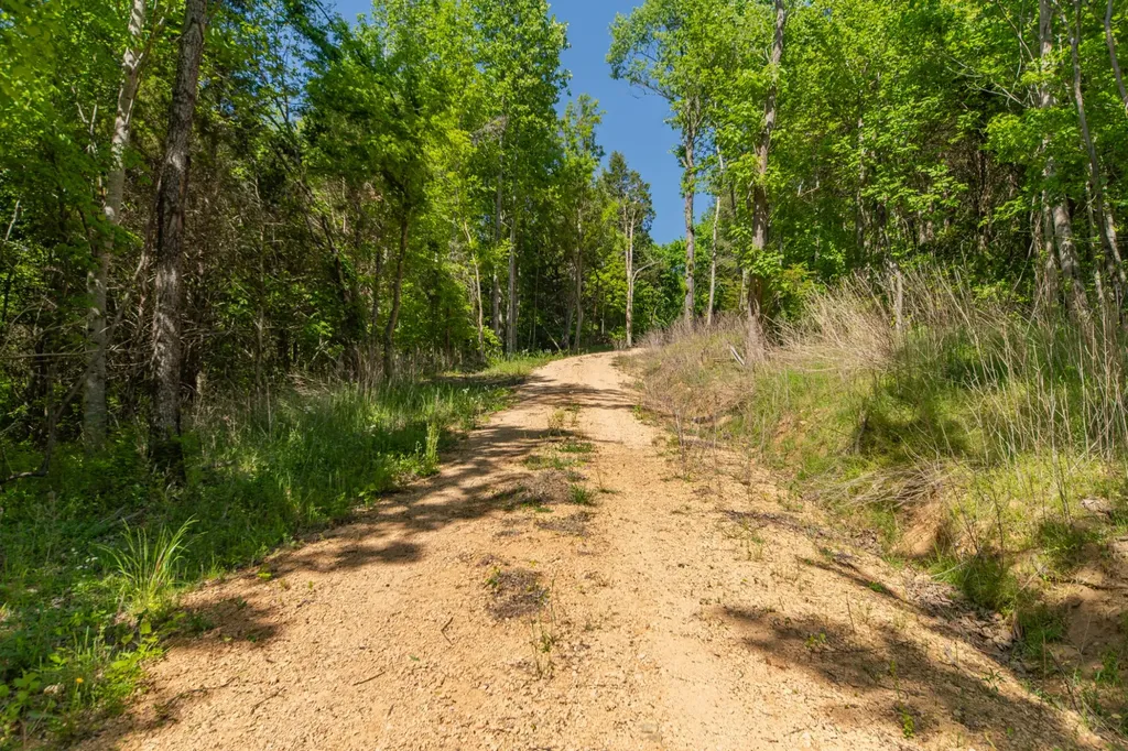 0 Globe Road Lewisburg TN 37091