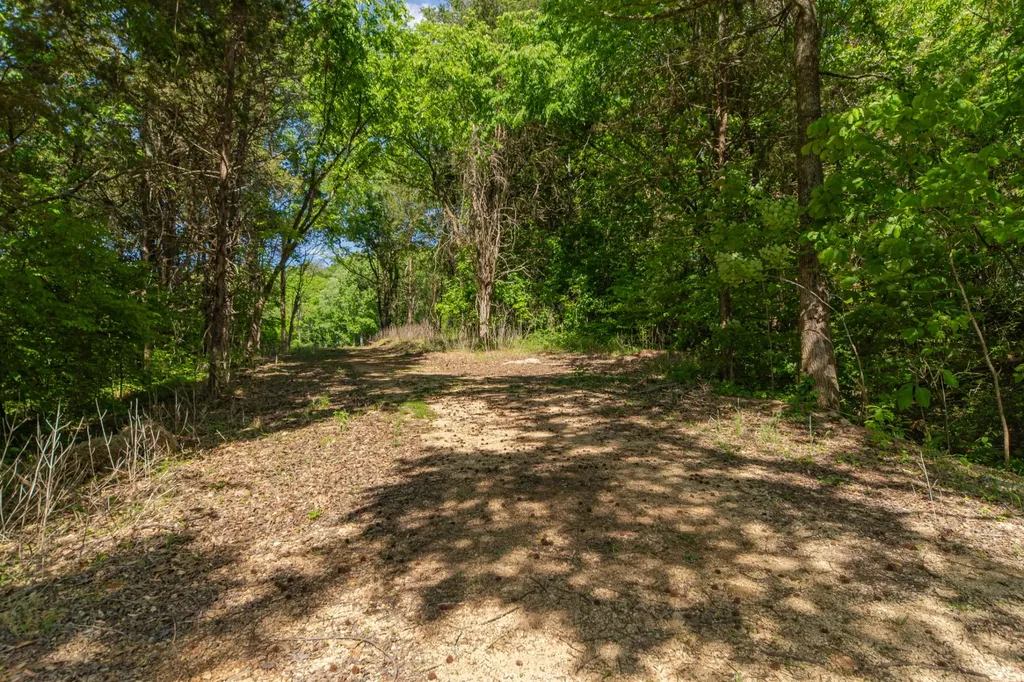 0 Globe Road Lewisburg TN 37091