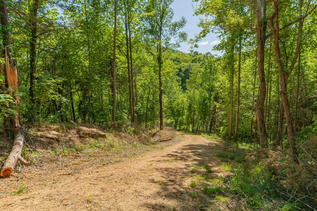 0 Globe Road Lewisburg TN 37091