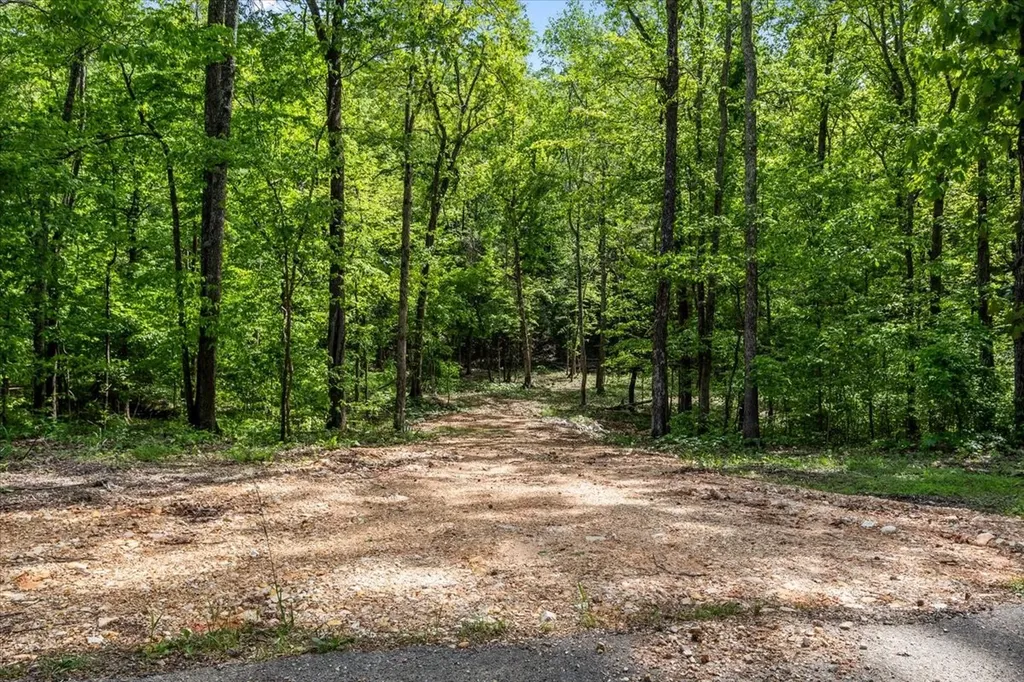 0 Rustling Oaks Drive Waverly TN 37185