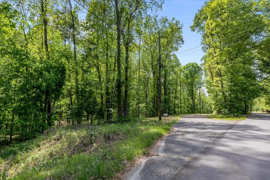 0 Rustling Oaks Drive Waverly TN 37185