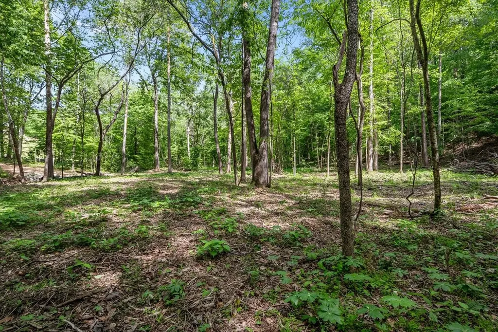 0 Rustling Oaks Drive Waverly TN 37185