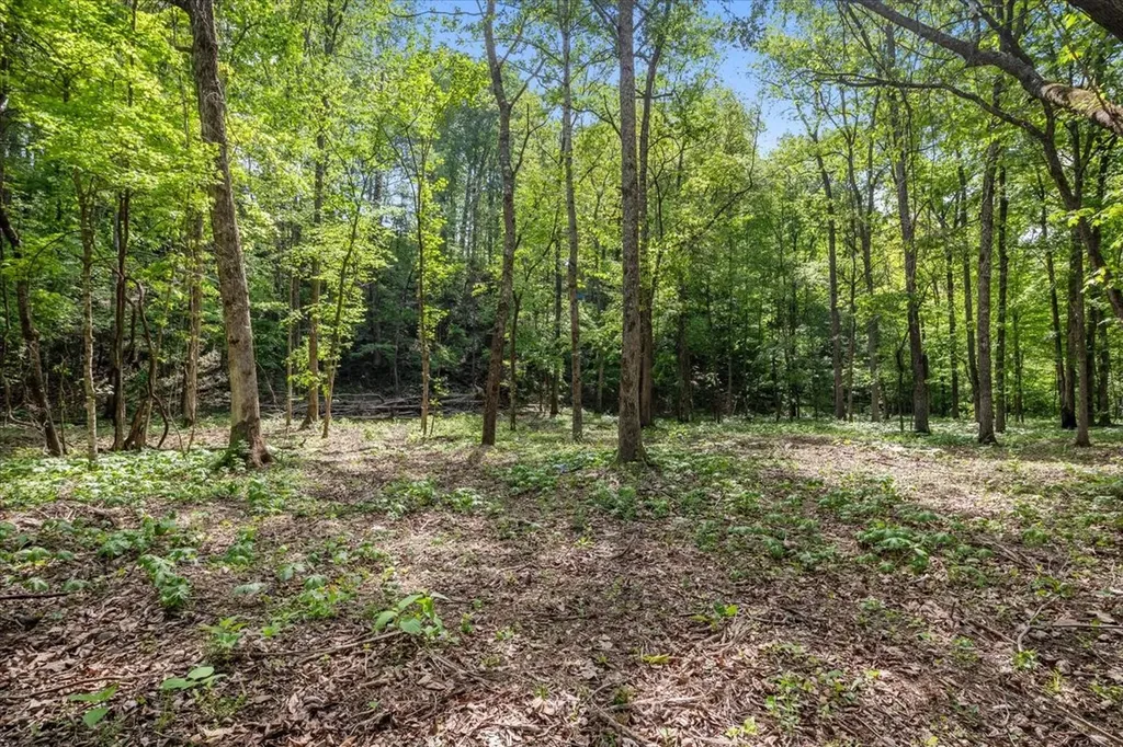 0 Rustling Oaks Drive Waverly TN 37185