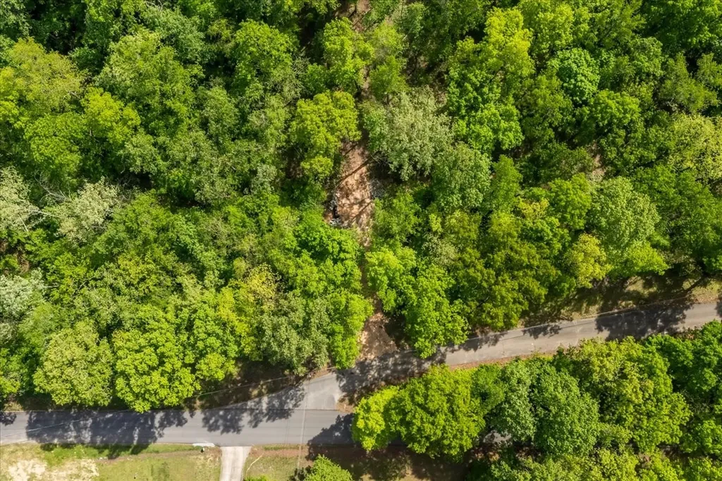 0 Rustling Oaks Drive Waverly TN 37185