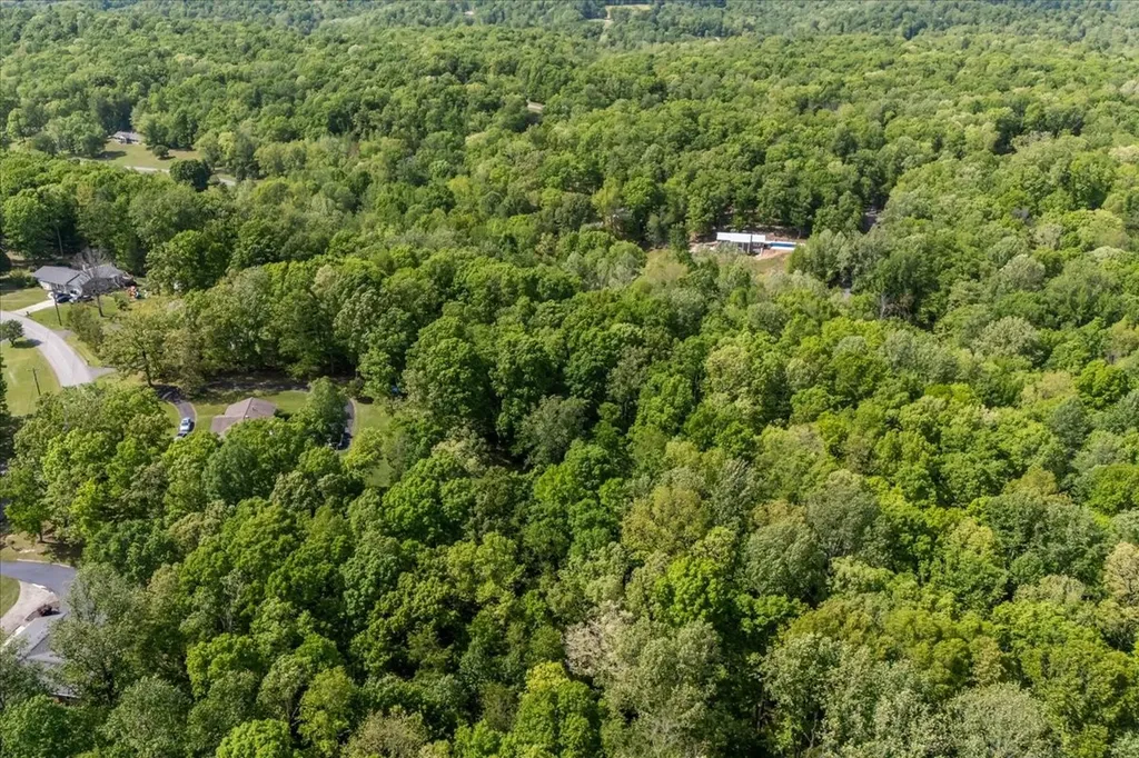 0 Rustling Oaks Drive Waverly TN 37185