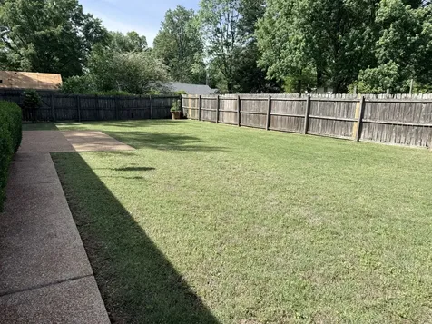 151 Netherwood Drive Jackson TN 38305