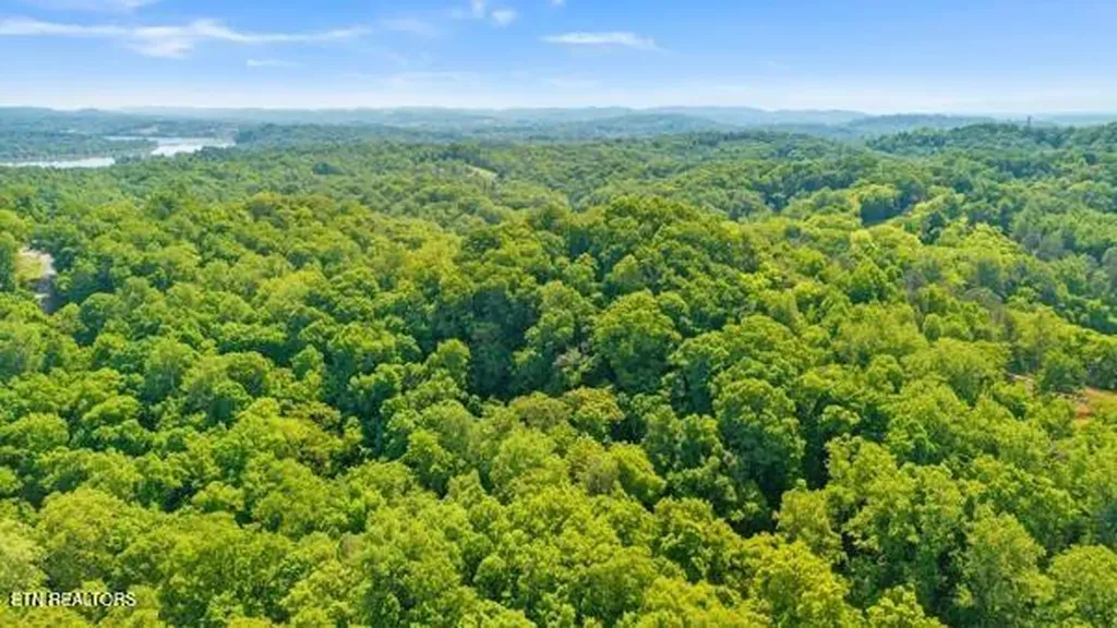 2050 Jones Bend Road Louisville TN 37777