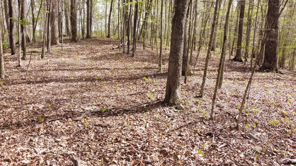 0 Off Johnson Chapel Road Sparta TN 38583
