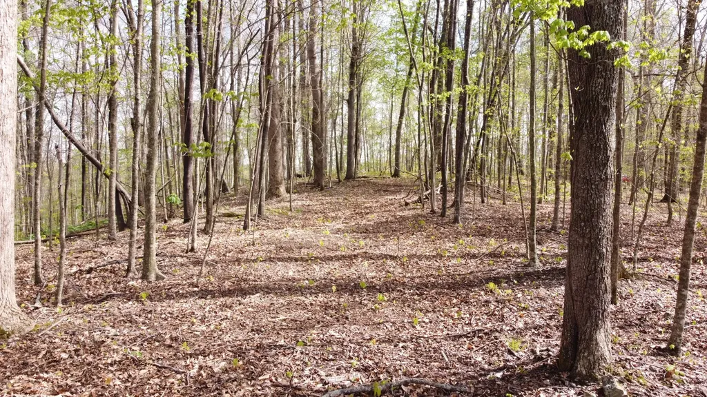 0 Off Johnson Chapel Road Sparta TN 38583
