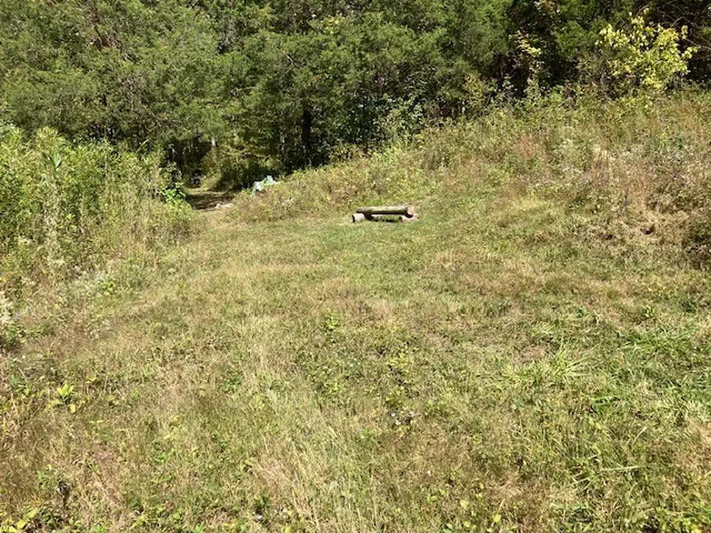0 Statesville Road Watertown TN 37184