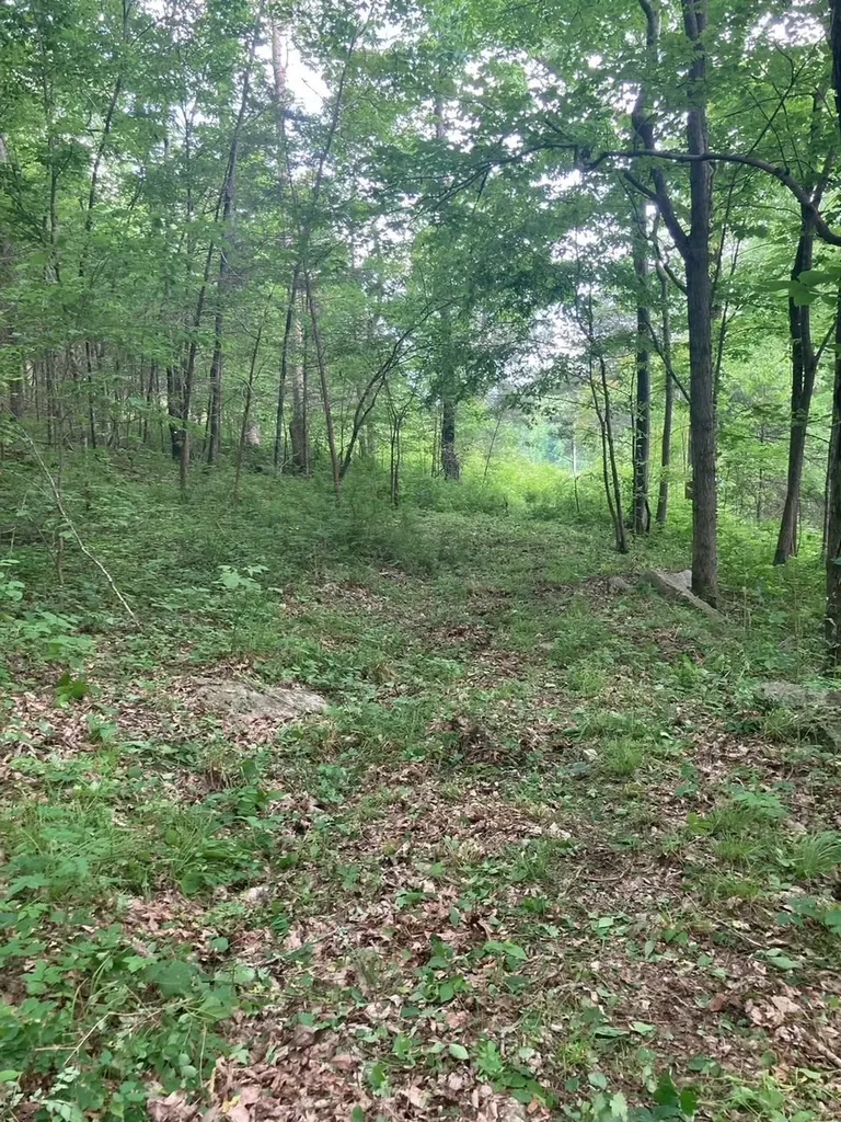 0 Statesville Road Watertown TN 37184