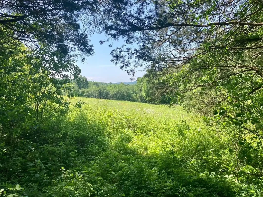 0 Statesville Road Watertown TN 37184