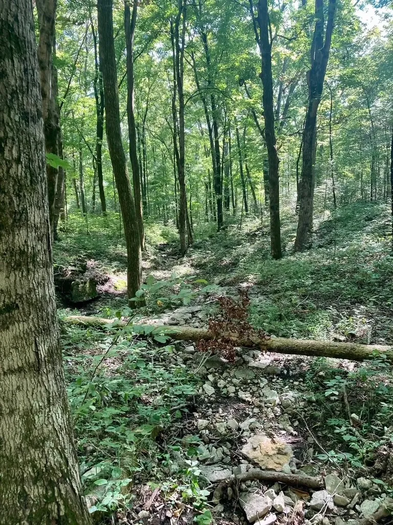 0 Statesville Road Watertown TN 37184