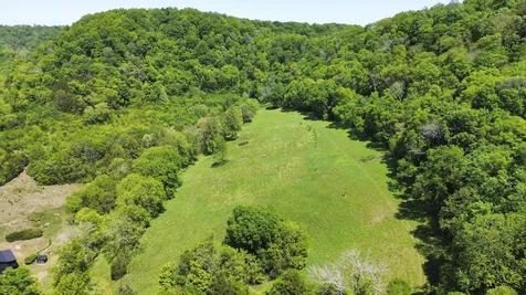 1370 Dog Branch Road Dixon Springs TN 37057
