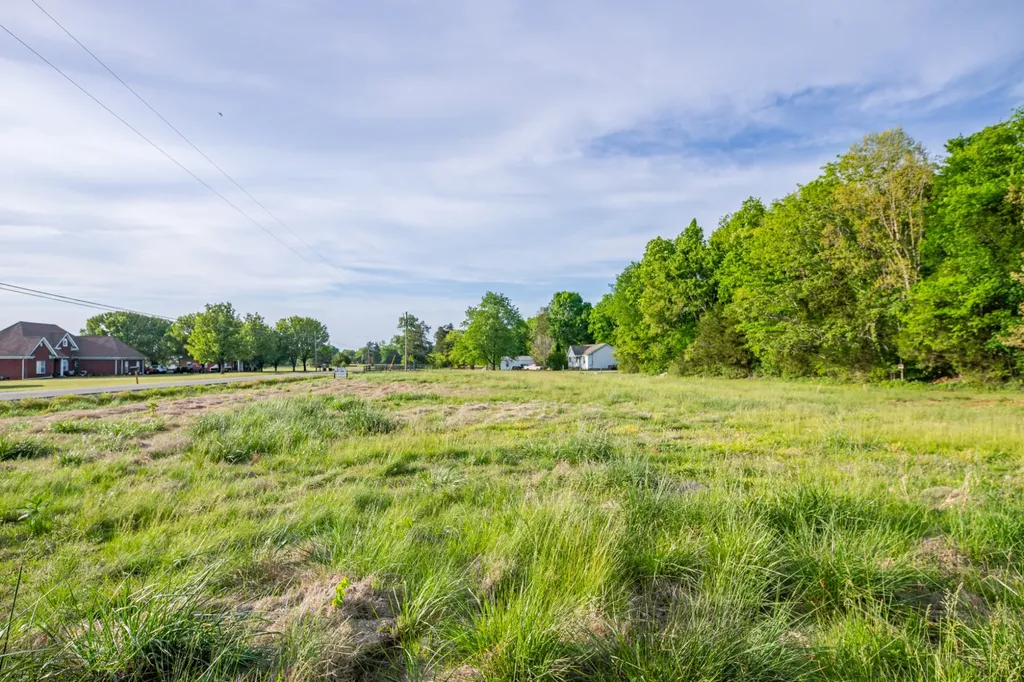 4751 Thick Road Chapel Hill TN 37034