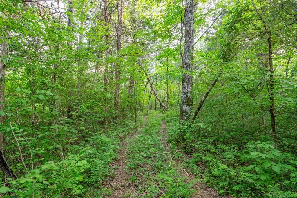 4751 Thick Road Chapel Hill TN 37034