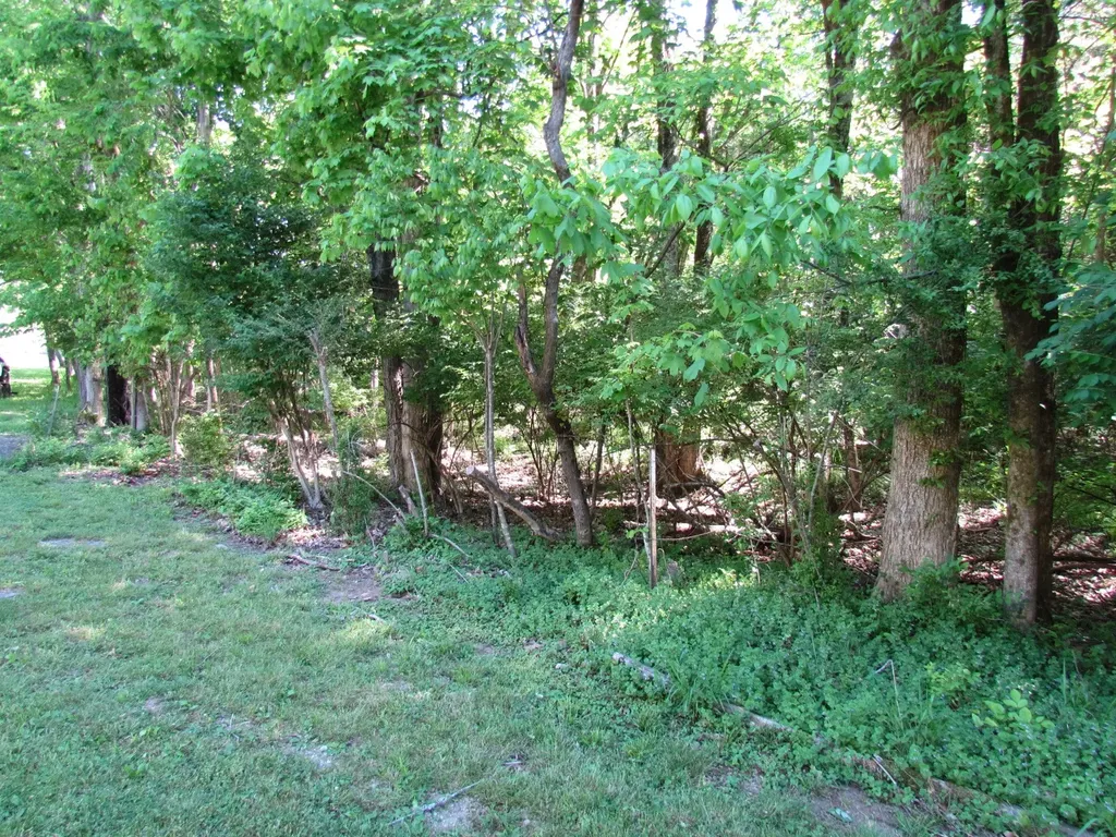 315 Davis Corner Road Mount Juliet TN 37122