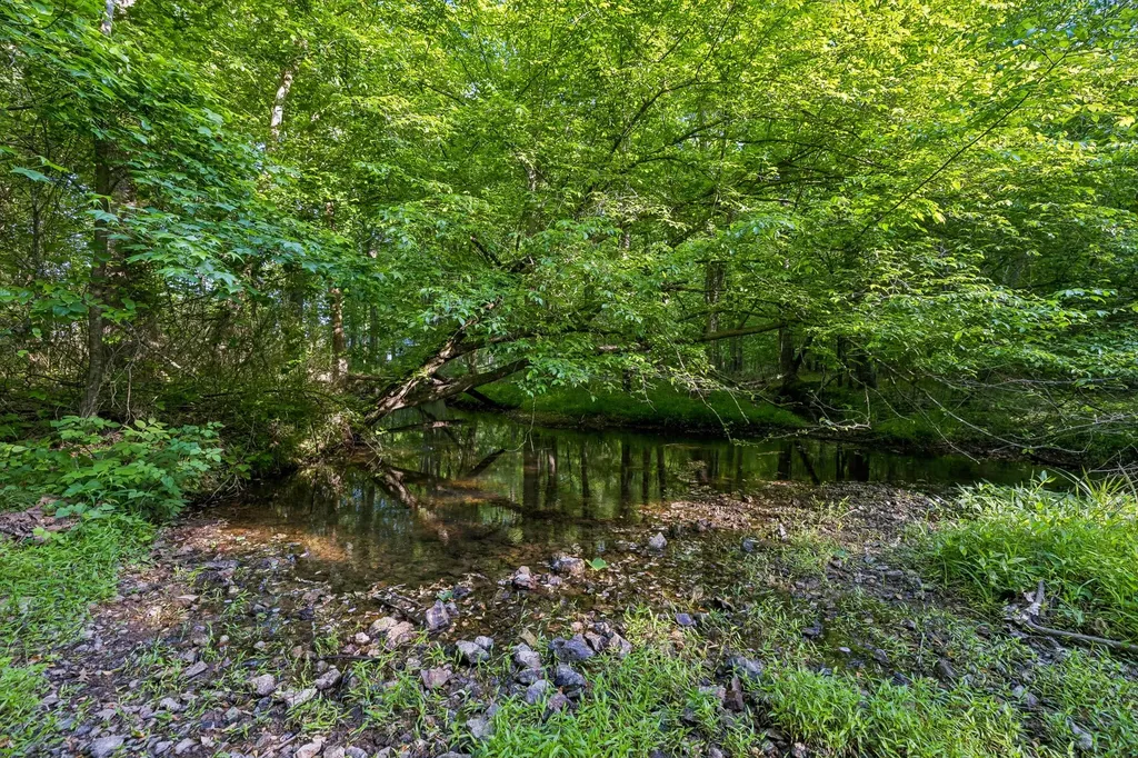 0 Rebecca West Road Fayetteville TN 37334