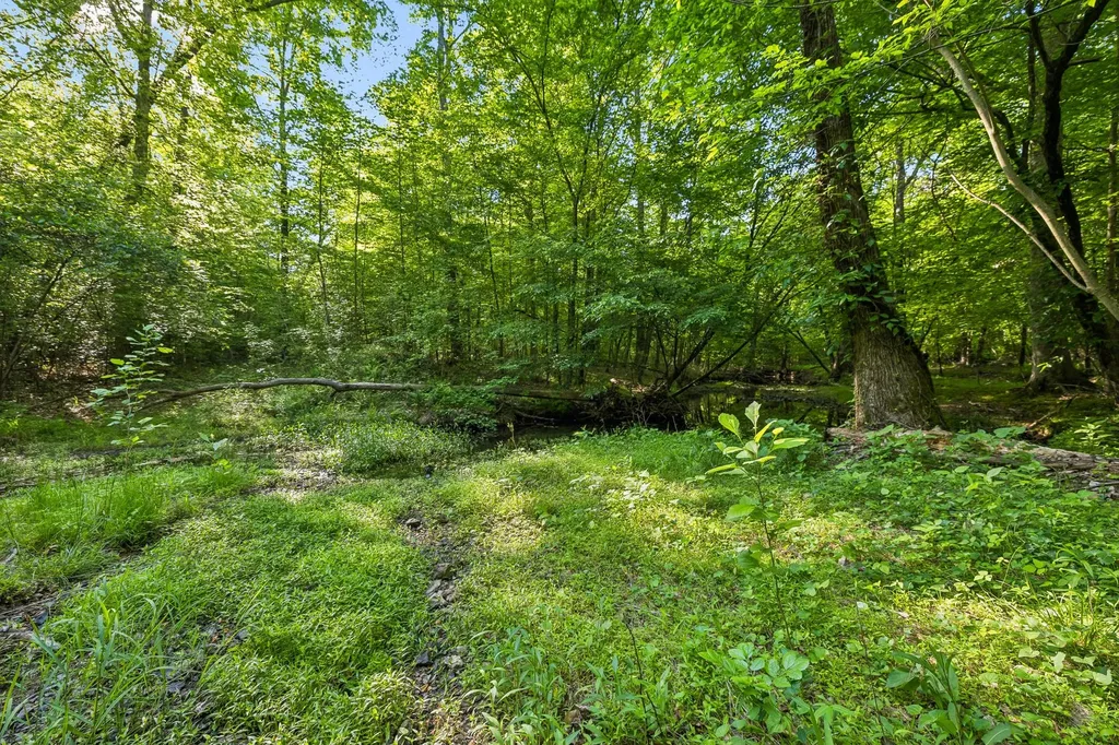 0 Rebecca West Road Fayetteville TN 37334
