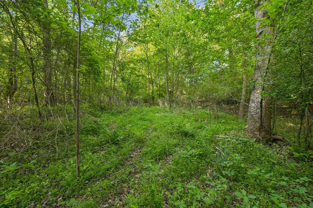 0 Rebecca West Road Fayetteville TN 37334