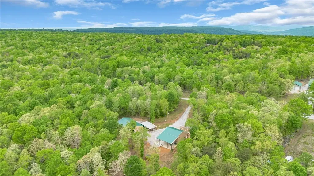886 Hunters Ridge Drive Altamont TN 37301