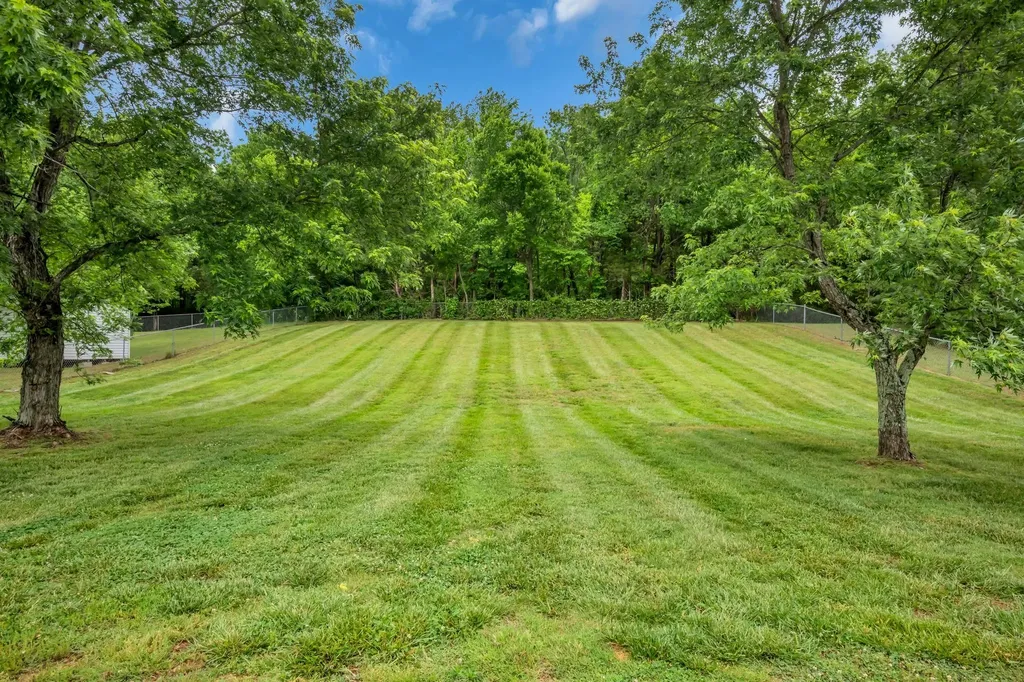 460 Bluff Drive Clarksville TN 37043
