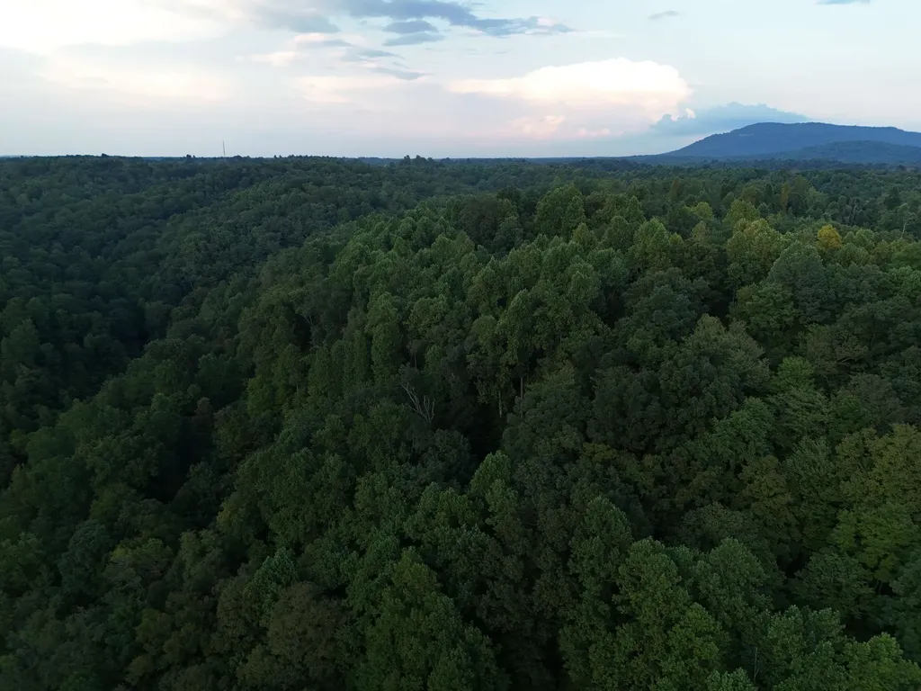 778 Jones Hollow Road Woodbury TN 37190