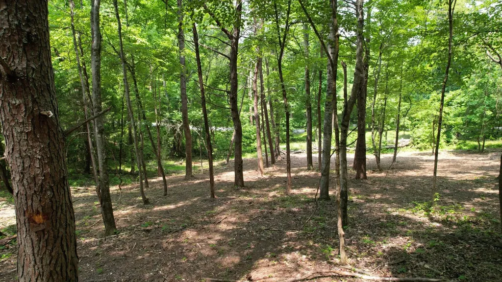 0 Cypress Drive Spring City TN 37381