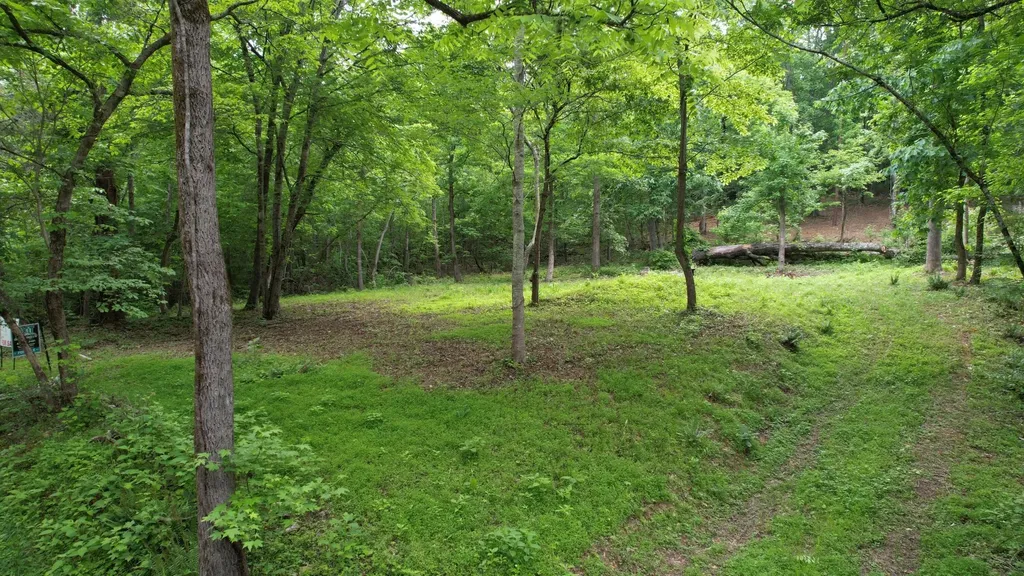 0 Cypress Drive Spring City TN 37381
