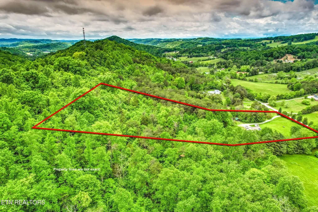 235 Raccoon Valley Road Maynardville TN 37807