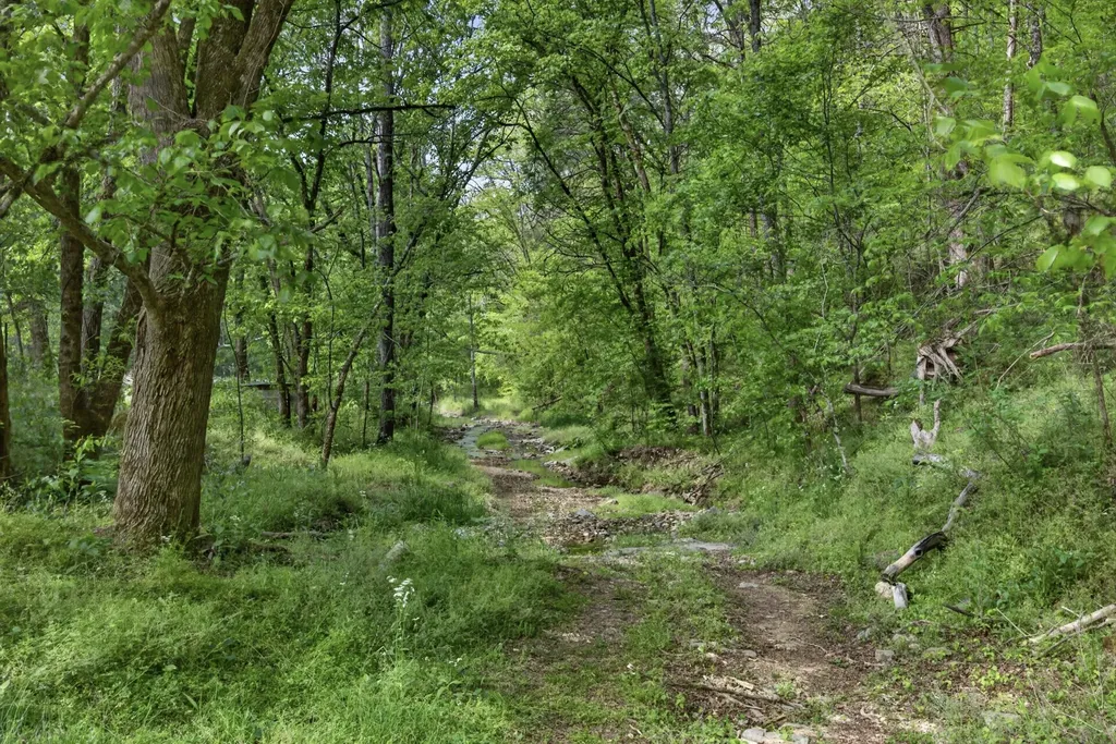 700 Ben Birdwell Lane Bloomington Springs TN 38545